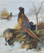 John Duncan (20th century): Pheasants in a Winter Landscape