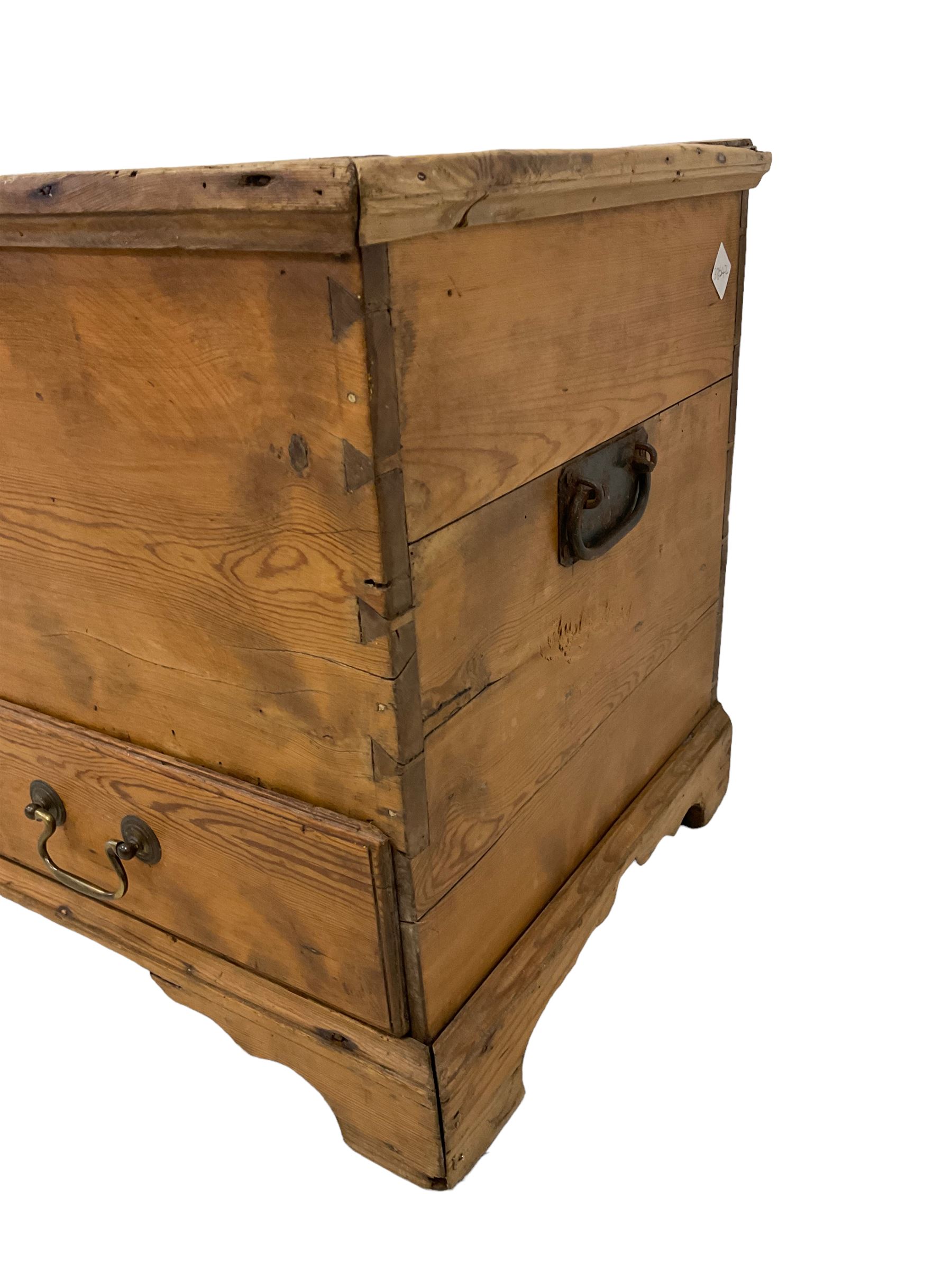 Late 19th century rustic pine mule chest - Image 2 of 5