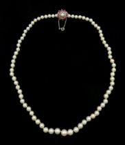 Single strand graduating cultured pearl necklace