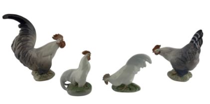 Four Royal Copenhagen porcelain Cockerels comprising model numbers 1024