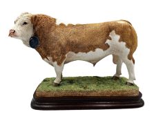 Border Fine Arts limited edition model 'Simmental Bull' no. B0996 by Antony Halls