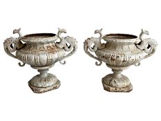 Pair of 19th century cast iron garden urns