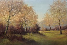 Remsen (Continental 20th century): Autumn Trees