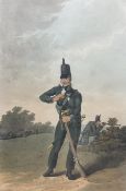 Robert Havell Jr (British 1793-1878) after George Walker (British 1781-1956): 'Rifleman of the North