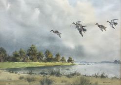 Robert W Milliken (British 1920-2014): Ducks in Flight over Lakeland
