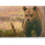 Robert E Fuller (British 1972-): Grizzly Bear