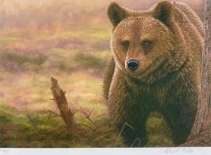 Robert E Fuller (British 1972-): Grizzly Bear