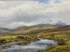 Robert Egginton (Scottish 1943-): 'River Drynoch - Skye'