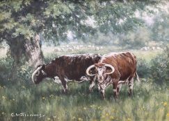 Glyn Williams (British 1955-): Long Horn Cattle Grazing