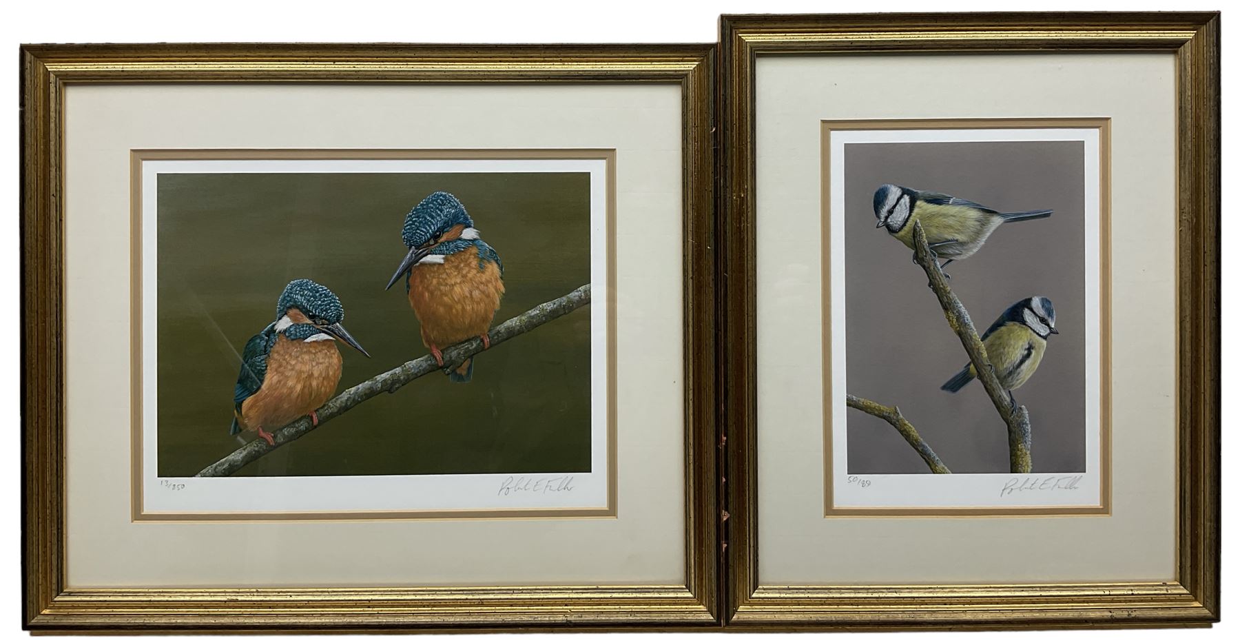 Robert E Fuller (British 1972-): Kingfishers and Bluetits - Image 2 of 2
