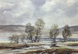 Ben Brook (Northern British 20th century): 'Nidderdale - Gouthwaite Reservoir'