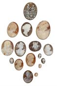 Sixteen 19th century and later unmounted shell cameos of various sizes