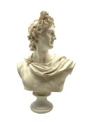 Marble effect bust of Apollo Belvedere H53cm