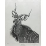 Gary Hodges (British 1954-): 'Greater Kudu'