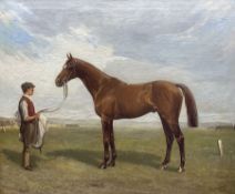 Nevison Arthur Loraine (British 1863-1934): Thoroughbred Racehorse Held by a Groom