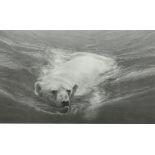 Gary Hodges (British 1954-): 'Swimming Polar Bear'