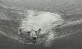 Gary Hodges (British 1954-): 'Swimming Polar Bear'