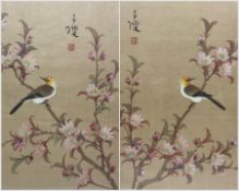 Chinese School (19th/20th century): Birds in Blossom Tree