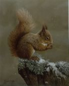 Robert E Fuller (British 1972-): 'Squirrel Nutkin'