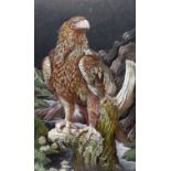 English School (20th century): Golden Eagle Perched on Branch before River
