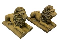 Pair cast stone recumbent lions