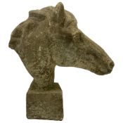 Cast stone garden statue in the form of a horse head