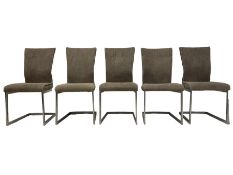 Barker and Stonehouse - set of five contemporary dining chairs