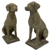 Pair of cast stone garden seated hunting dogs