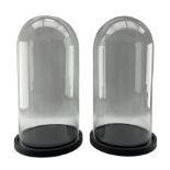 Pair of Victorian style glass domes on ebonised bases