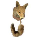 Taxidermy - Fox mask (Vulpes vulpes) looking to the left