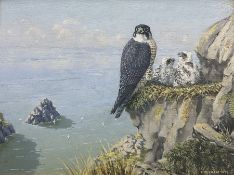 HM Rillie (Scottish 20th century): Peregrine Falcon and Chicks on the Cliffs