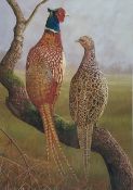 Robert E Fuller (British 1972-): Pheasants on a Branch