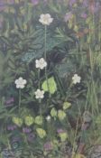 Selina Thorp (British 1968-): 'Grass of Parnassus'