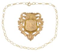 Gold Medallion and gold link bracelet