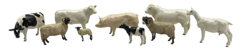 Eight models from the Border Fine Arts pottery company comprising Charolais Bull