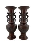 Pair of 20th century Japanese patinated bronze twin-handled vases