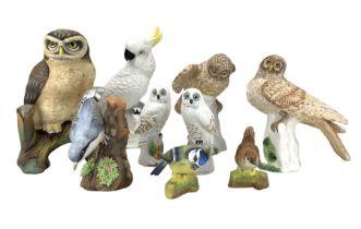 Crown Staffordshire birds to include 'Small Owls'