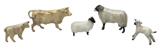 Beswick model of a Charolais cow No.3075A