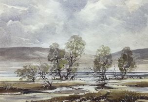 Ben Brook (Northern British 20th century): 'Nidderdale - Gouthwaite Reservoir'