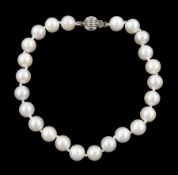 Single strand cultured white pearl bracelet