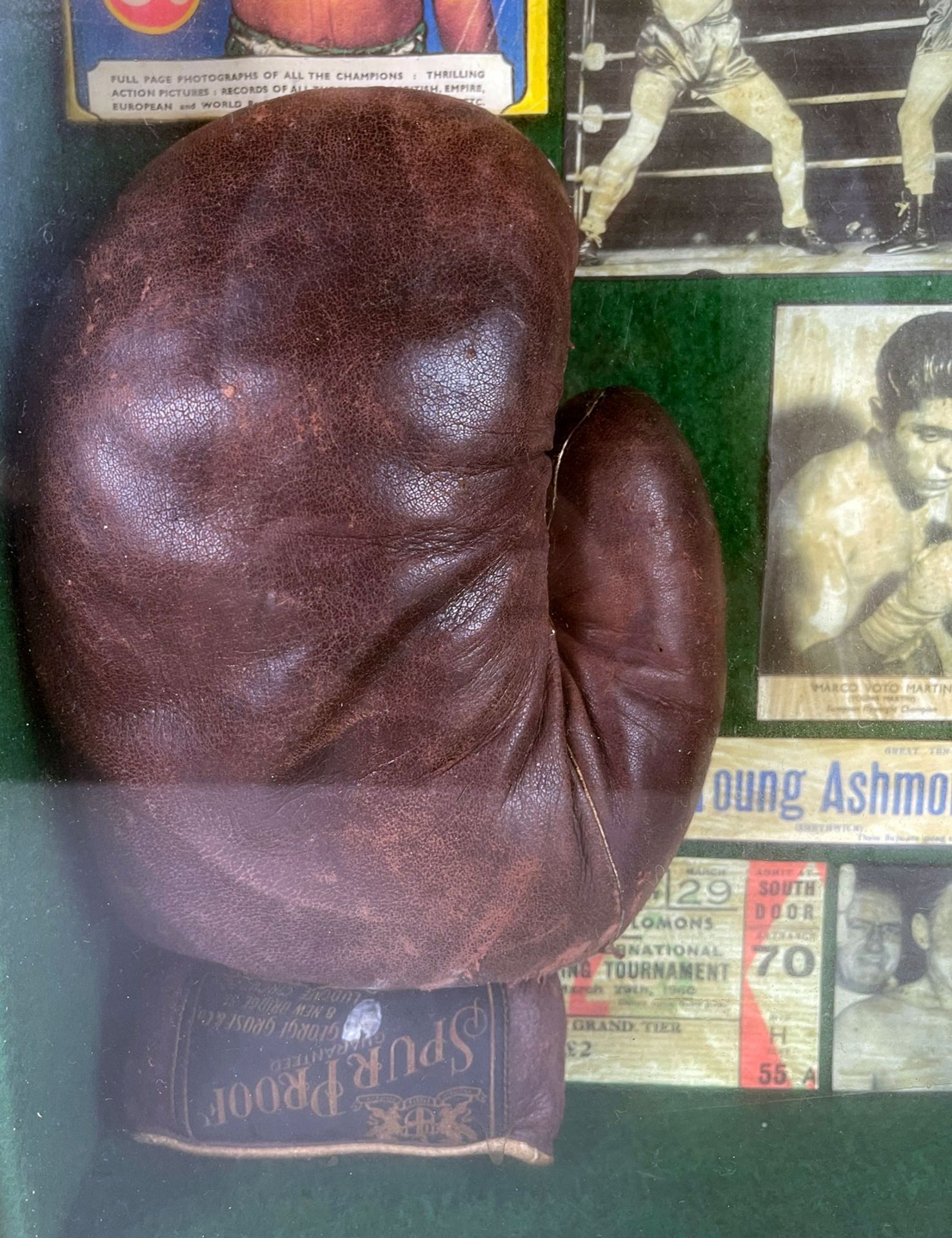 1955-1960 Boxing Memorabilia Shadow Box with Gloves - Image 2 of 5
