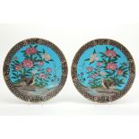 pair of antique Japanese Meiji period cloisonne dishes with a quails decor || Paar antieke Japanse