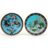 two antique Japanese Meiji period cloisonne dishes with a birds decor || Lot van twee antieke