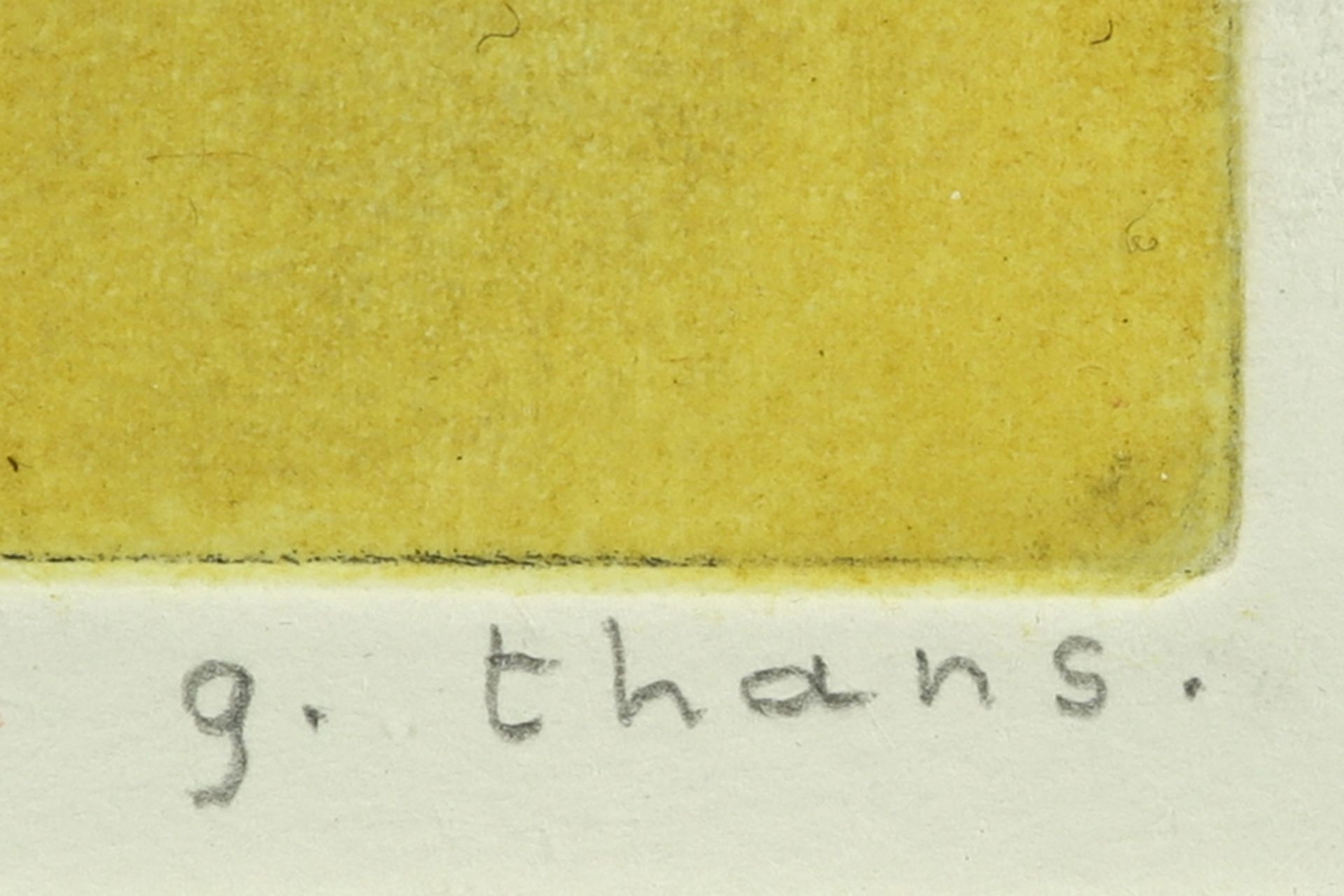 etching - signed G. Thans||THANS G. ets n° 7/20 : "Schermbloem" - 20 x 30 getekend - Image 2 of 3