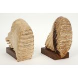 pair of book-ends each with a fossilised mammoth molar