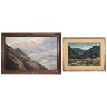 two paintings with a mountain landscape : oil on canvas signed Van der Elst and an oil on panel sign