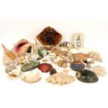 various lot with shells, fossiles and geodes ||Lot met geodes, schelpen en fossielen