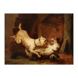 Zacharie Noterman signed oil on canvas with a fighting dog and cat ||NOTERMAN ZACHARIE (ca 1820 -