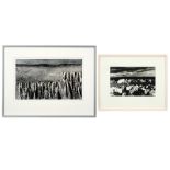 lot (2) of a drawing signed Lieve Pettens and a black-and-white photograph signed Jeny Koninckx ||