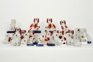 quite large collection of Staffordshire ceramic dogs || Vrij grote collectie "hondjes" in